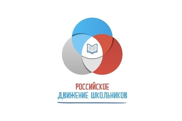 Успехи регионального отделения высоко оценили на окружном Всероссийском семинаре-совещании «Российского движения школьников»