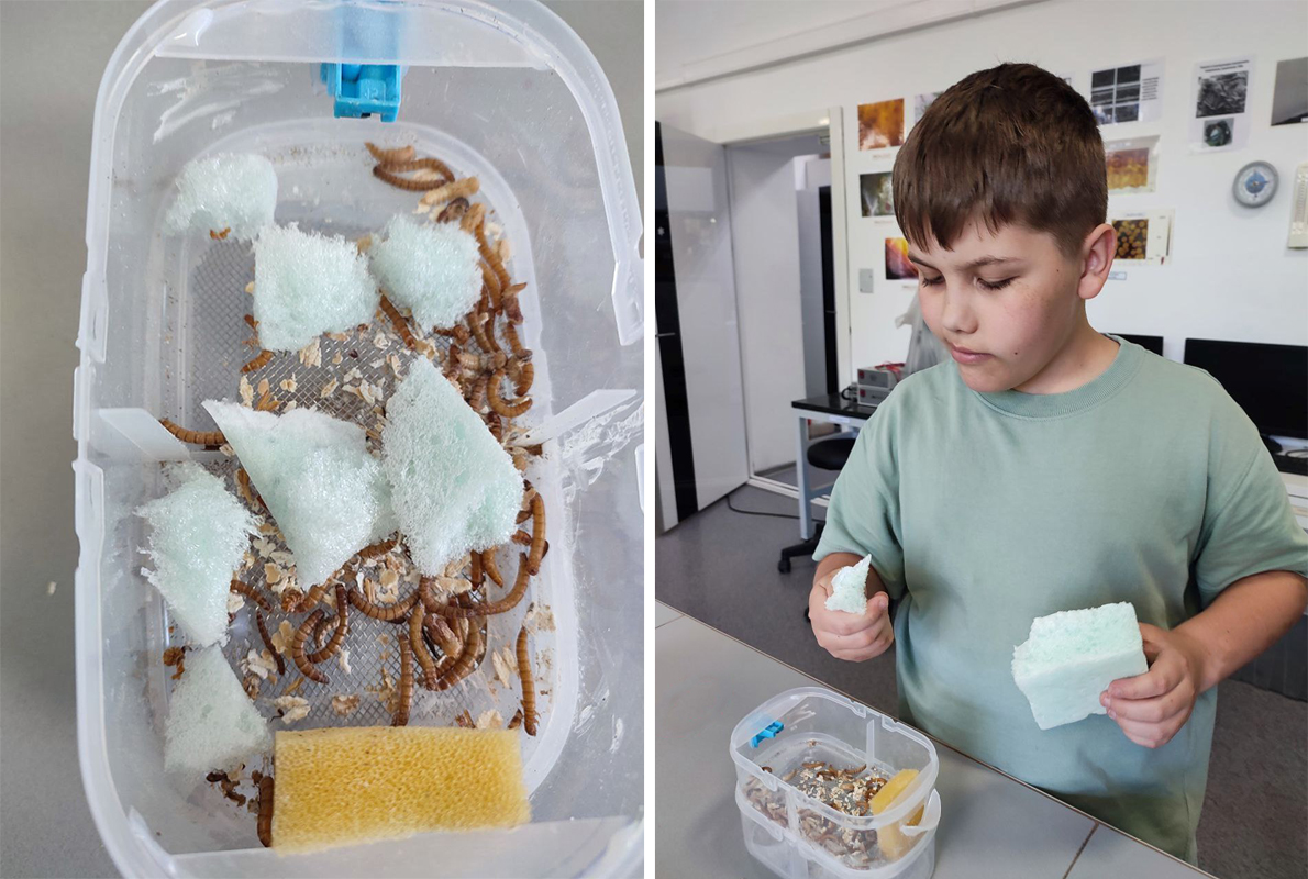 Поздравляем участников SEED kids ECO projects battle - 2025! Поздравляем участников SEED kids ECO projects battle - 2025!