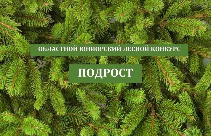 Подведены итоги Областного заочного юниорского лесного конкурса «Подрост»